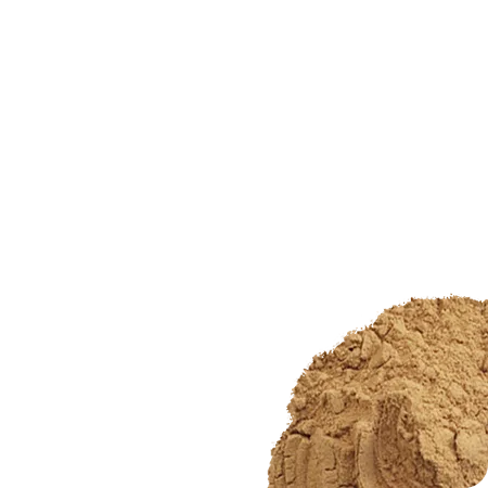 Criniera di Leone, 60 capsule - lions s mane x png