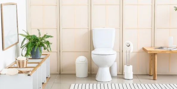 Types of Stool: Bristol Stool Chart and More - image