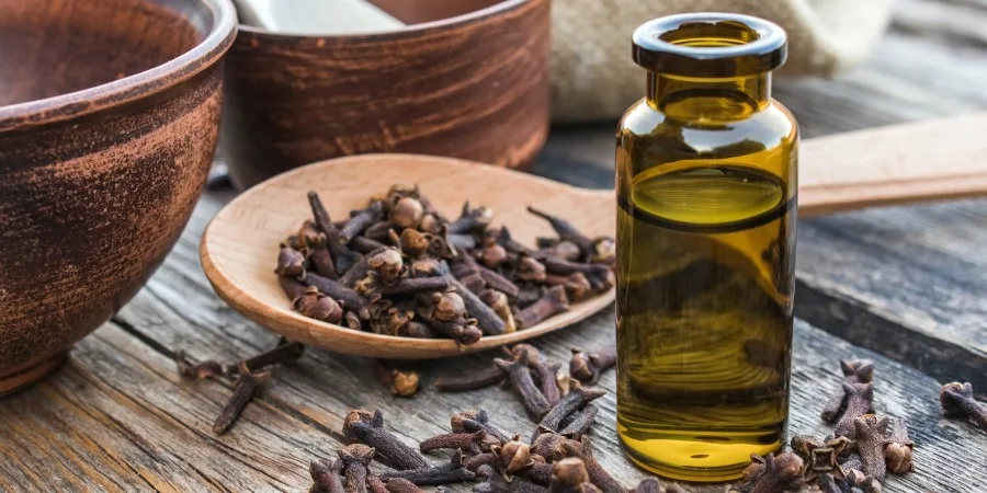 Remèdes et conseils pour prévenir les vomissements et les nausées - image